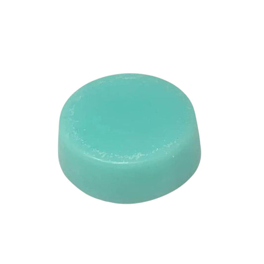 Conditioner Bar • Baja Cactus • Bottle None