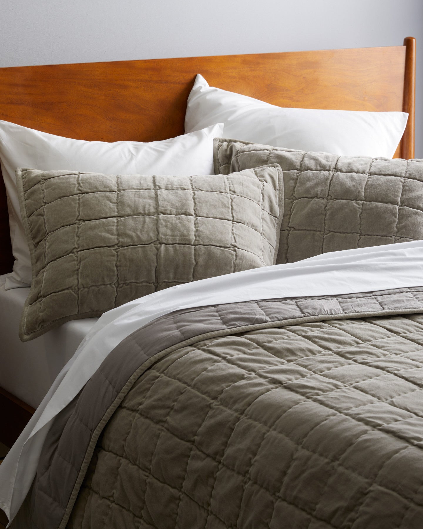 Cotton Velvet Quilted Sham Set