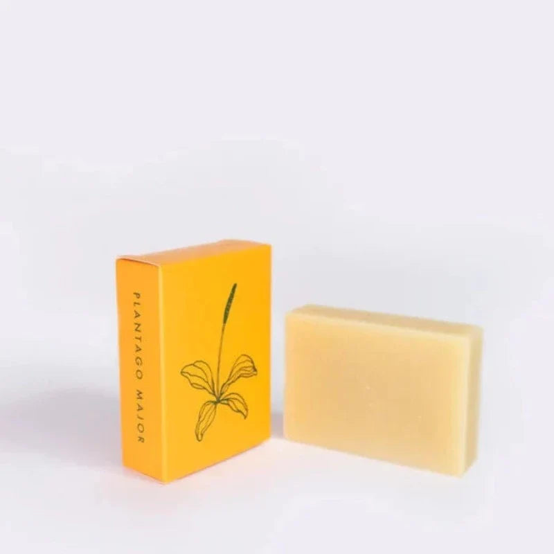 ALTR Handmade Soaps - Plantago Major